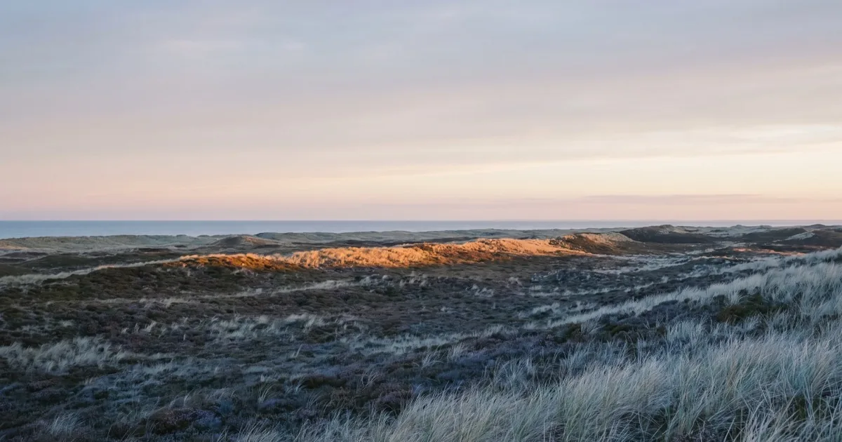 Dansk klithede ved daggry, hvor det første sollys fanger én enkelt bakkeryg, mens resten af landskabet ligger i blå skygge